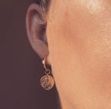 Gold Filled Zodiac Earrings